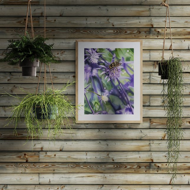 Hoverfly on Purple Eryngium Thistle Flower  Fotodruck (Von Creator hochgeladen)