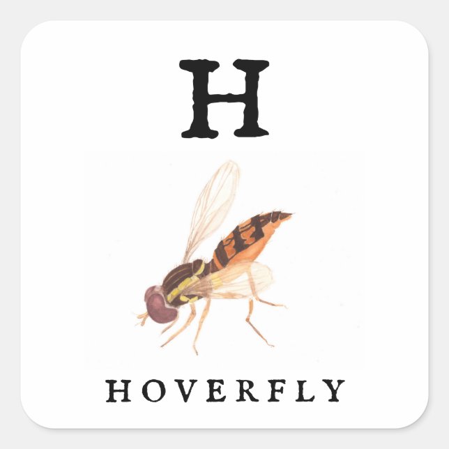 Hoverfly Quadratischer Aufkleber (Vorderseite)