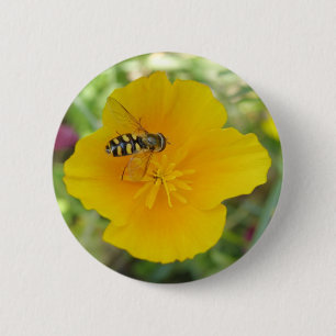 Hoverfly-Schaltfläche für kalifornische Mohnblumen Button