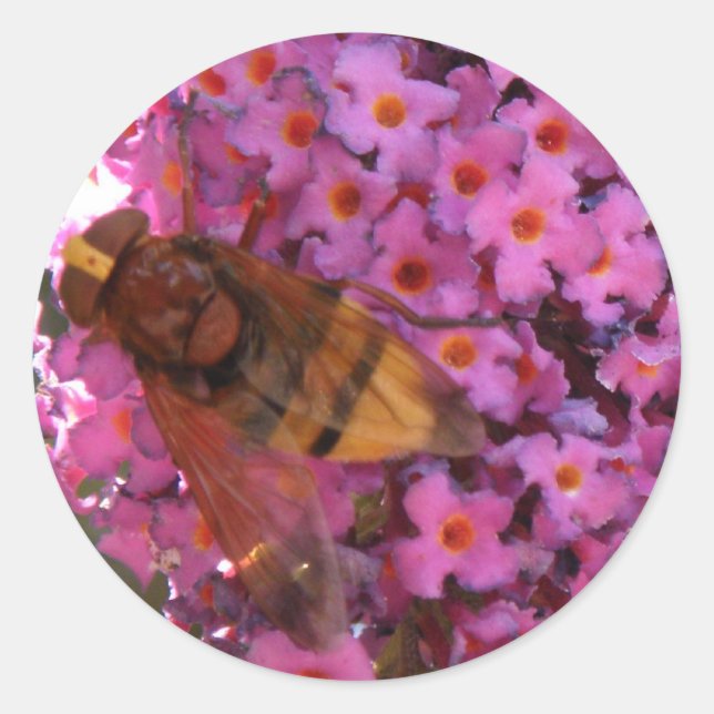 Hoverfly-Sticker Runder Aufkleber (Vorderseite)