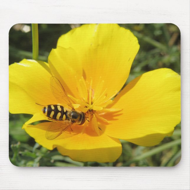 Hoverfly und Blume Mousepad (Vorne)