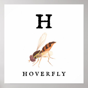 Hoverfly Value Poster Paper (Matte)