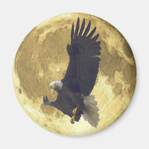 Hovering BALD EAGLE & FULL MOON Wildlife Magnet