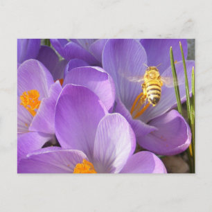 Hovering Bee ~ Postkarte