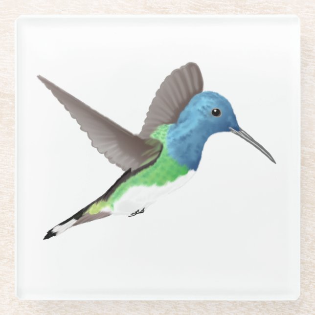 Hovering Jacobin Hummingbird - transparent. Glasuntersetzer (Vorderseite)