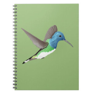 Hovering Jacobin Hummingbird - transparent. Notizblock