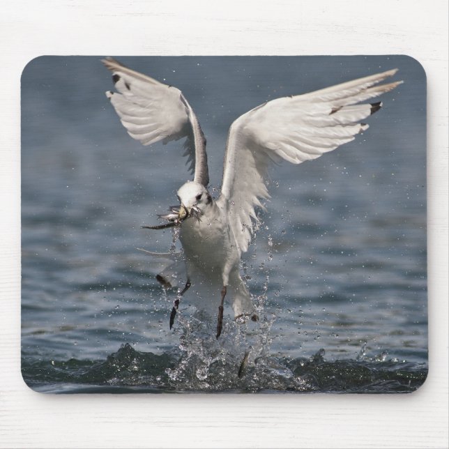 Hovering Kittiwake Mousepad (Vorne)