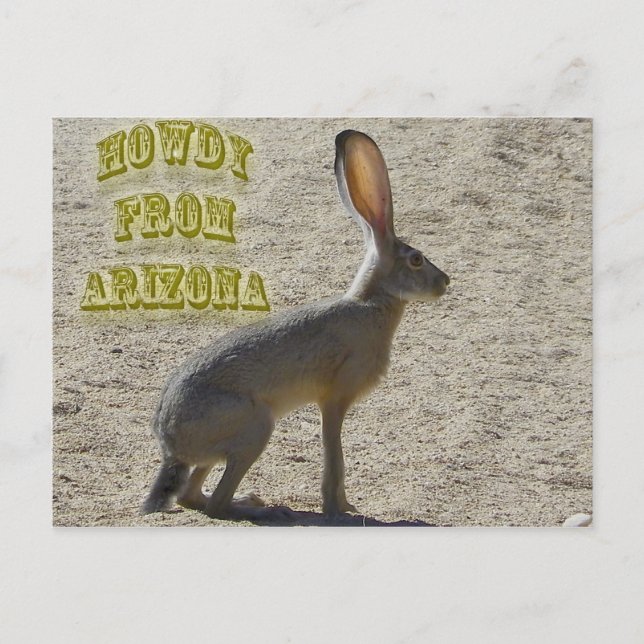 Howdy aus Arizona Postkarte (Vorderseite)