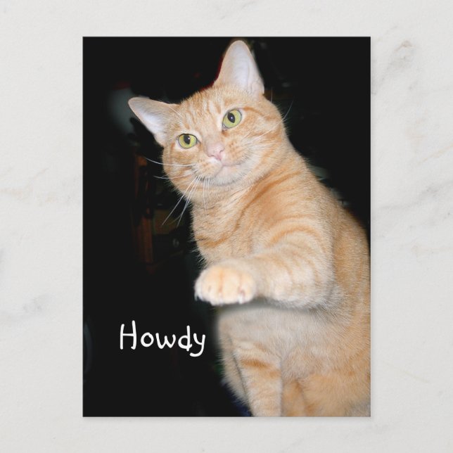 Howdy Postkarte (Vorderseite)