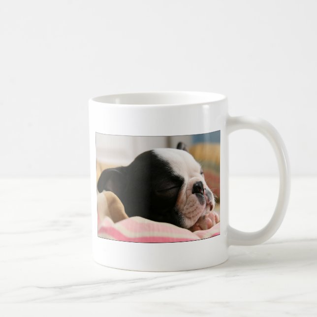 Howie nimmt eine Nickerchen Tasse (Rechts)