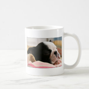 Howie prend une tasse de petit somme