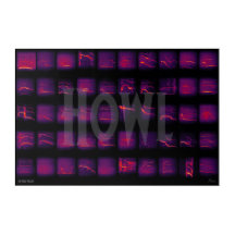 Howl: Die geheime Sprache der Wölfe