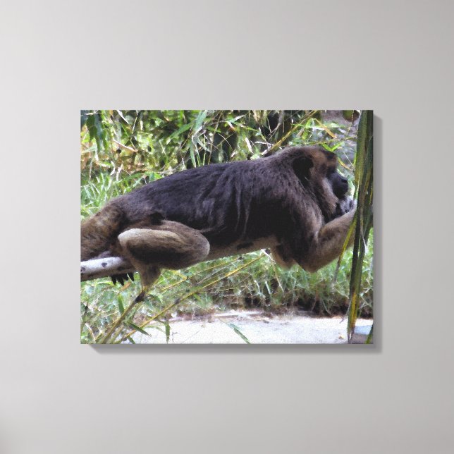 Howler Monkey Hangout Leinwanddruck (Vorderseite)