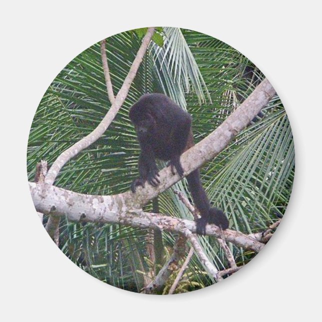Howler Monkey und Baby Monkey in Costa Rica Jungle Magnet (Vorne)