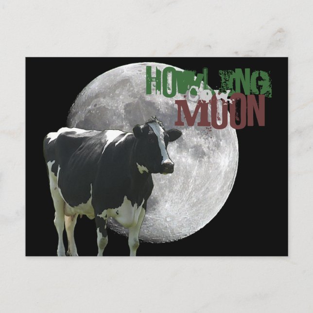 Howlin Cow Moon Postkarte (Vorderseite)