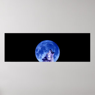Howling Grauer Wolf an der Abendkasse Poster Print