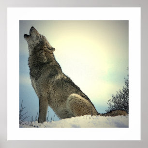 Howling Wolf Poster Print mit weißen Grenzen