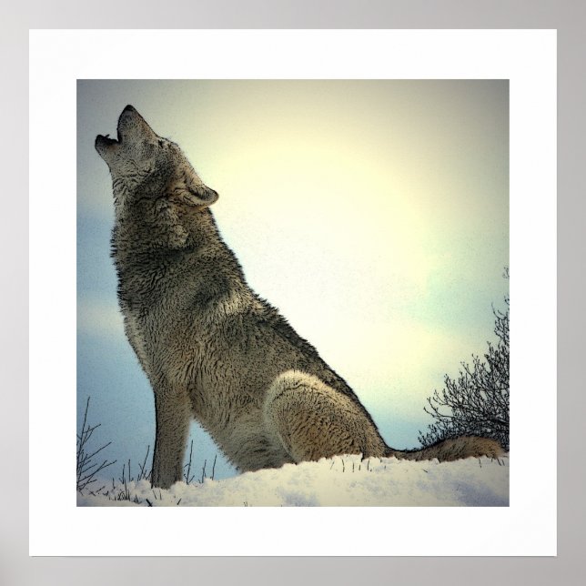 Howling Wolf Poster Print mit weißen Grenzen (Vorne)