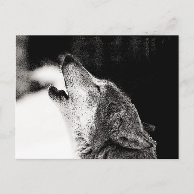 Howling Wolf Postkarte (Vorderseite)