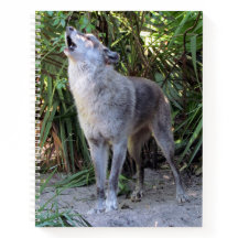 Howling Wolf Spiral Notebook