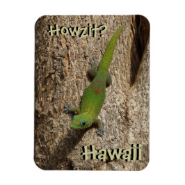 Howzit Hawaii Gecko-tropischer Rechteckmagnet Magnet