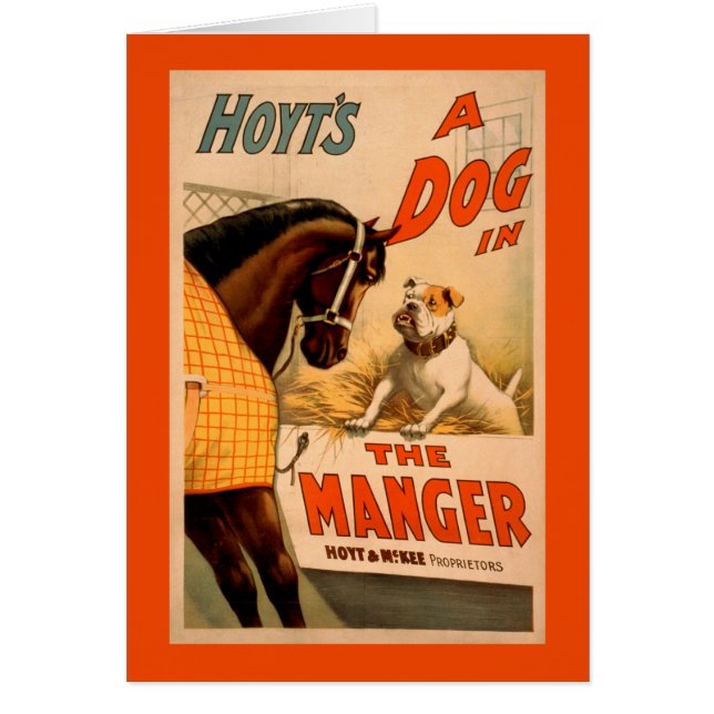 Hoyt ist ein Hund im Magiertheater-Poster (Vorne)