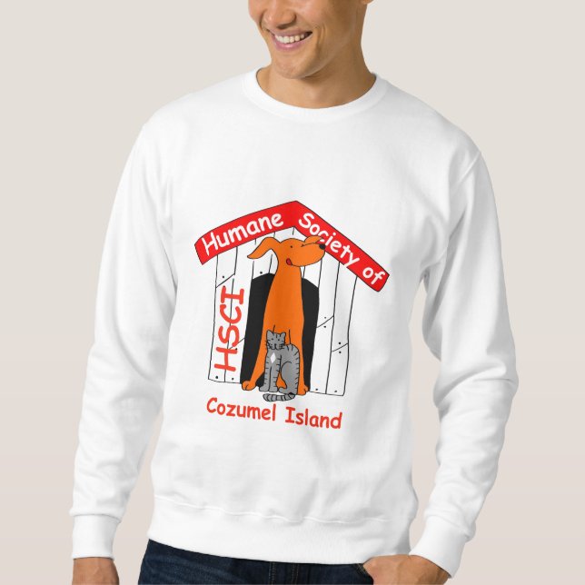 HSCI Sweatshirt (Vorderseite)