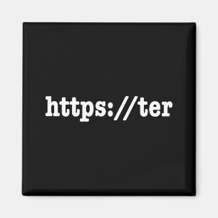 https://ter magnet