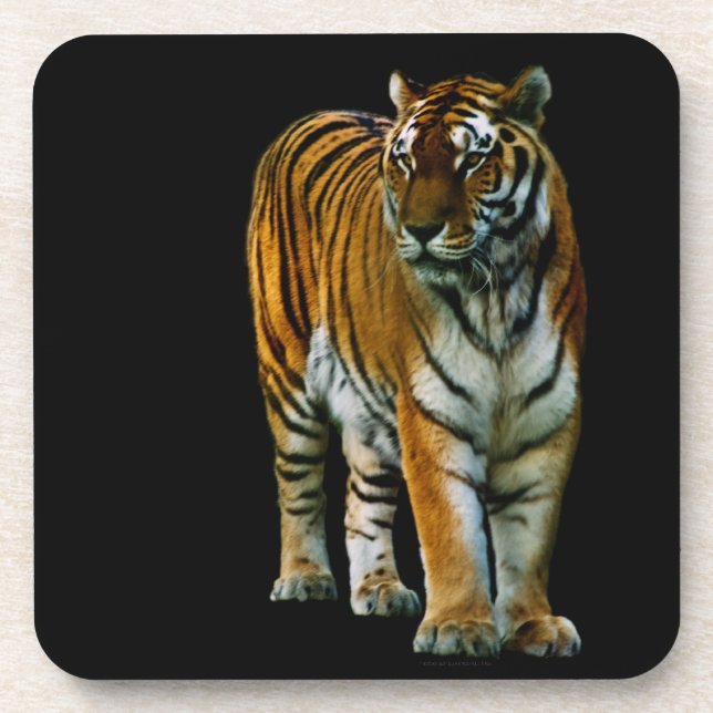 Hu Lin Cork Dessous de verre (Devant)