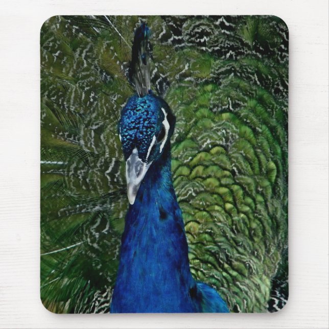 hübsch als Pfauenmousepad Mousepad (Vorne)