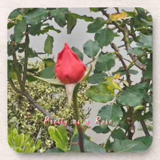 Hübsch als Rose Untersetzer Set