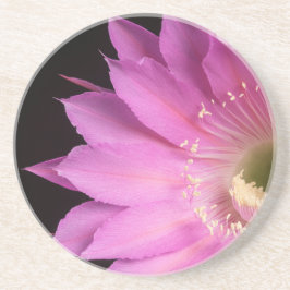 Hübsch auf der rosa Piazza Getränkeuntersetzer