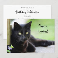 Hübsch Black Cat Foto Geburtstag