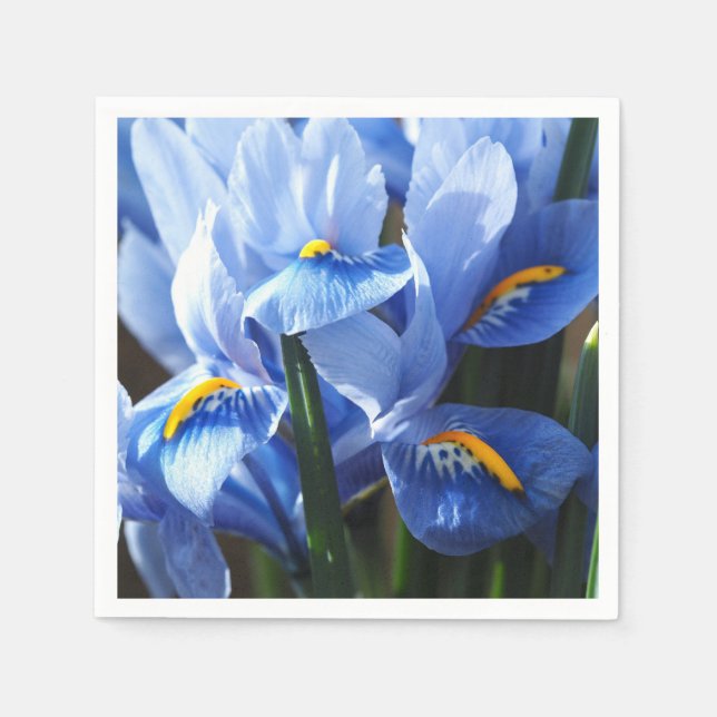 Hübsch-blaue Iris-Serviette Serviette (Vorderseite)