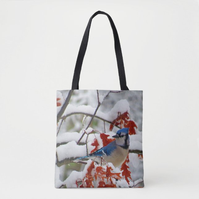 Hübsch Blue Jay Snow Foto Tasche (Vorderseite)