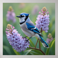 Hübsch Blue Jay Stehend auf Lilac Branchen