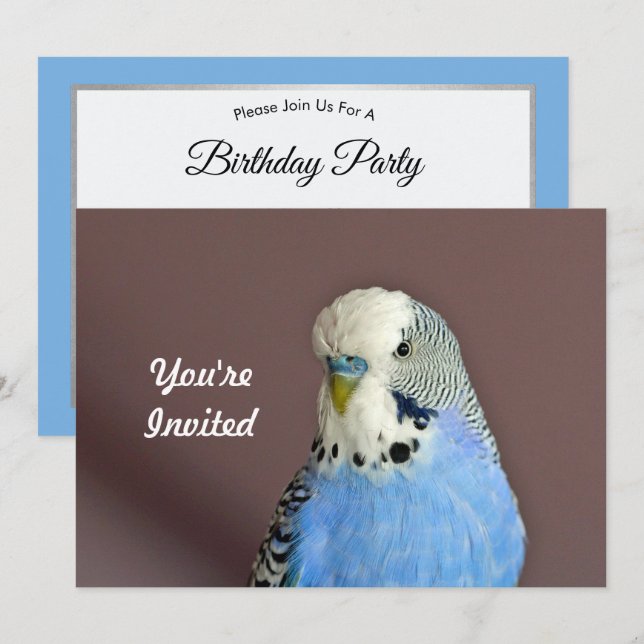 Hübsch Blue Parakeet Foto Geburtstag Einladung (Vorne/Hinten)