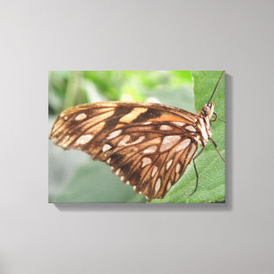 Hübsch Brown Butterfly Canvas Leinwanddruck