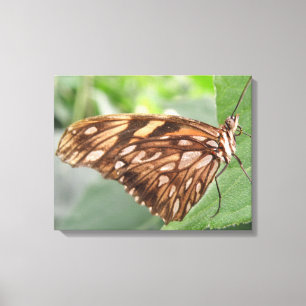 Hübsch Brown Butterfly Canvas Leinwanddruck
