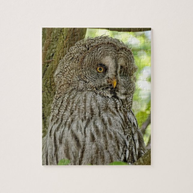 Hübsch Brown Owl (Vertikal)