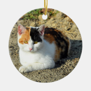 Hübsch Calico Cat Foto Keramik Ornament