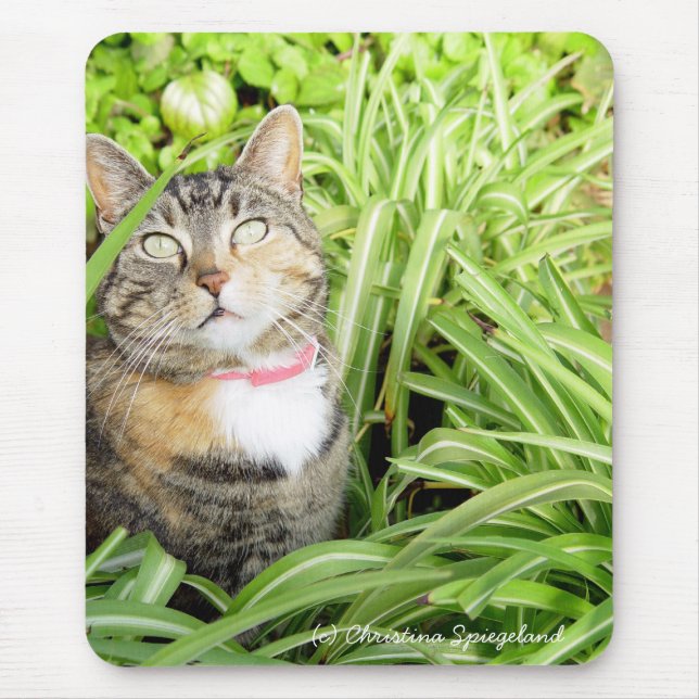 Hübsch Calico Cat Mousepad (Vorne)