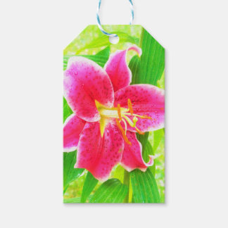 Hübsch Deep Pink Stargazer Liuon on Lime Green Geschenkanhänger