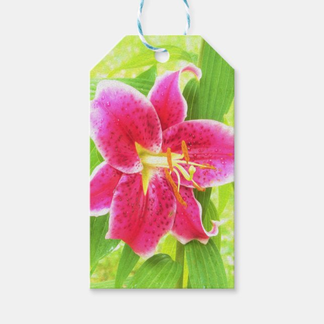 Hübsch Deep Pink Stargazer Liuon on Lime Green Geschenkanhänger (Vorderseite)