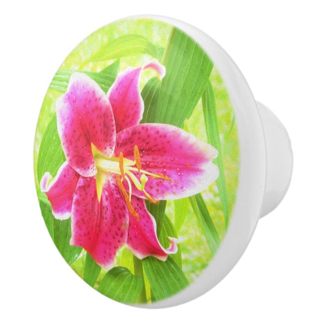 Hübsch Deep Pink Stargazer Liuon on Lime Green Keramikknauf (Rechts)