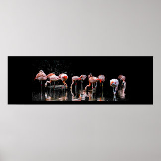 Hübsch Flamingo Poster