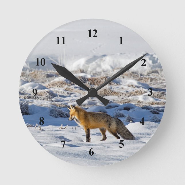 Hübsch Fox Snow Foto Runde Wanduhr (Vorderseite)