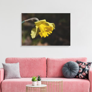 Hübsch Gelbe affodische Blume 24,00" x 16,00" Leinwanddruck