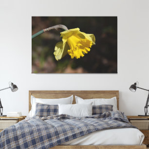 Hübsch Gelbe affodische Blume 48,00" x 32,00" Leinwanddruck