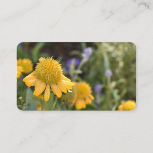 Hübsch Gelbe Blumen Garten Natur Blumenstrauß Foto Visitenkarte